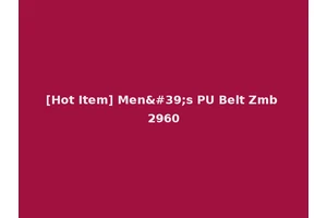[Hot Item] Men's PU Belt Zmb 2960