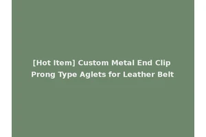 [Hot Item] Custom Metal End Clip Prong Type Aglets for Leather Belt