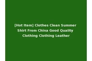 [Hot Item] Clothes Clean Summer Shirt From China Good Quality Clothing Clothing Leather