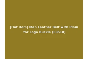 [Hot Item] Man Leather Belt with Plain for Logo Buckle (E3510)