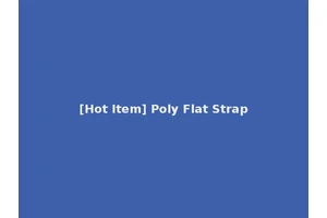 [Hot Item] Poly Flat Strap
