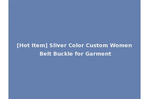 [Hot Item] Sliver Color Custom Women Belt Buckle for Garment