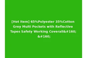 [Hot Item] 65%Polyester 35%Cotton Grey Multi Pockets with Reflective Tapes Safety Working Coverall   