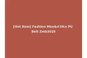 [Hot Item] Fashion Men's PU Belt Zmb3025