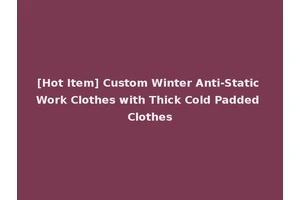 [Hot Item] Custom Winter Anti-Static Work Clothes with Thick Cold Padded Clothes