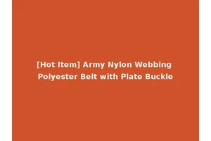 [Hot Item] Army Nylon Webbing Polyester Belt with Plate Buckle