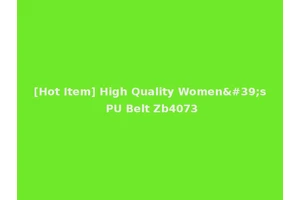 [Hot Item] High Quality Women's PU Belt Zb4073