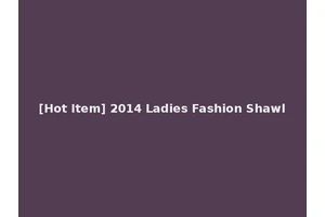 [Hot Item] 2014 Ladies Fashion Shawl