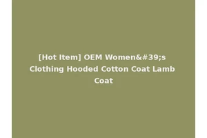 [Hot Item] OEM Women's Clothing Hooded Cotton Coat Lamb Coat