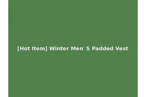 [Hot Item] Winter Men′ S Padded Vest