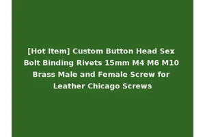 [Hot Item] Custom Button Head Sex Bolt Binding Rivets 15mm M4 M6 M10 Brass Male and Female Screw for Leather Chicago Screws