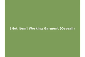 [Hot Item] Working Garment (Overall)
