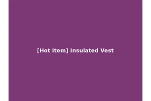 [Hot Item] Insulated Vest