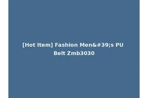 [Hot Item] Fashion Men's PU Belt Zmb3030