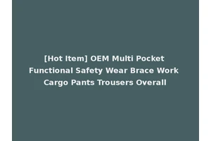 [Hot Item] OEM Multi Pocket Functional Safety Wear Brace Work Cargo Pants Trousers Overall