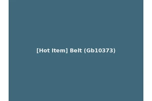 [Hot Item] Belt (Gb10373)