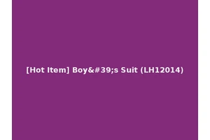 [Hot Item] Boy's Suit (LH12014)