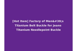 [Hot Item] Factory of Men's Titanium Belt Buckle for Jeans Titanium Needlepoint Buckle
