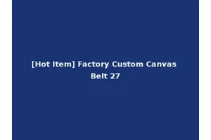 [Hot Item] Factory Custom Canvas Belt 27