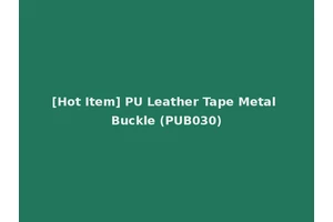 [Hot Item] PU Leather Tape Metal Buckle (PUB030)