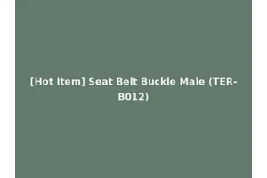 [Hot Item] Seat Belt Buckle Male (TER-B012)