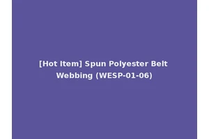 [Hot Item] Spun Polyester Belt Webbing (WESP-01-06)