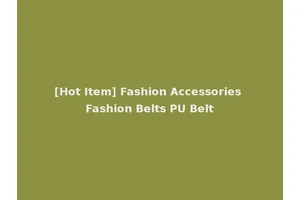 [Hot Item] Fashion Accessories Fashion Belts PU Belt