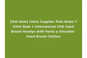 [Hot Item] China Supplier Polo Bales T-Shirt Bale 1 Internaional USA Used Brand Hoodys with Pants a Shoulder Used Brand Clothes