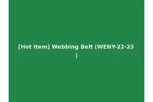 [Hot Item] Webbing Belt (WENY-22-23)