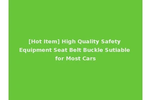 [Hot Item] High Quality Safety Equipment Seat Belt Buckle Sutiable for Most Cars