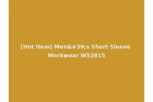 [Hot Item] Men's Short Sleeve Workwear W52815