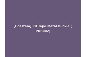 [Hot Item] PU Tape Metal Buckle (PUB002)