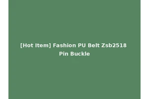 [Hot Item] Fashion PU Belt Zsb2518 Pin Buckle