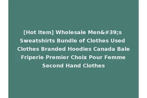 [Hot Item] Wholesale Men's Sweatshirts Bundle of Clothes Used Clothes Branded Hoodies Canada Bale Friperie Premier Choix Pour Femme Second Hand Clothes