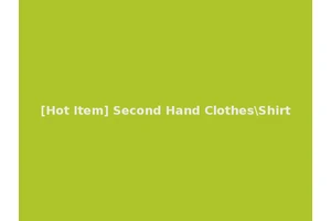 [Hot Item] Second Hand Clothes\Shirt