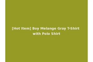 [Hot Item] Boy Melange Gray T-Shirt with Polo Shirt