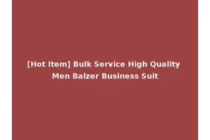 [Hot Item] Bulk Service High Quality Men Balzer Business Suit