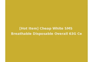 [Hot Item] Cheap White SMS Breathable Disposable Overall 63G Ce