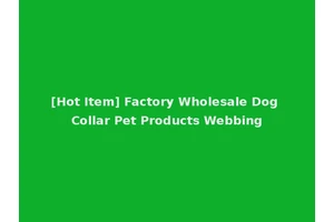 [Hot Item] Factory Wholesale Dog Collar Pet Products Webbing