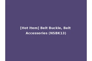 [Hot Item] Belt Buckle, Belt Accessories (NSBK13)