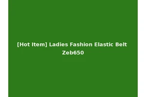 [Hot Item] Ladies Fashion Elastic Belt Zeb650