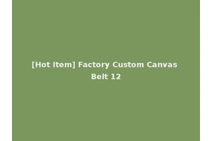 [Hot Item] Factory Custom Canvas Belt 12