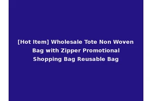 [Hot Item] Wholesale Tote Non Woven Bag with Zipper Promotional Shopping Bag Reusable Bag