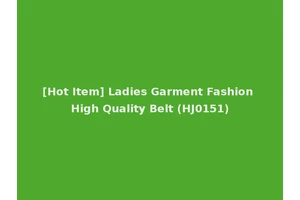 [Hot Item] Ladies Garment Fashion High Quality Belt (HJ0151)