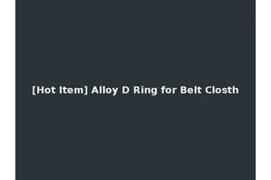 [Hot Item] Alloy D Ring for Belt Closth