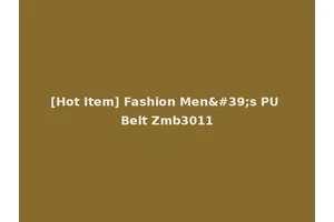[Hot Item] Fashion Men's PU Belt Zmb3011