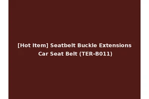 [Hot Item] Seatbelt Buckle Extensions Car Seat Belt (TER-B011)