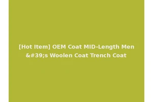 [Hot Item] OEM Coat MID-Length Men's Woolen Coat Trench Coat