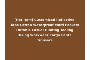 [Hot Item] Customized Reflective Tape Cotton Waterproof Multi Pockets Durable Casual Hunting Tooling Hiking Workwear Cargo Pants Trousers