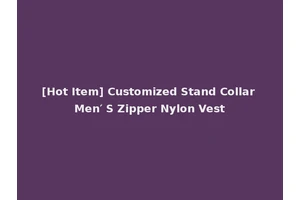 [Hot Item] Customized Stand Collar Men′ S Zipper Nylon Vest